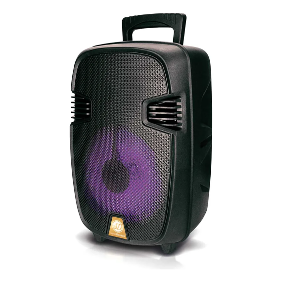 Parlante Multimedia Bt Serie Dorada Karaoke Tws 8'' Sd-810