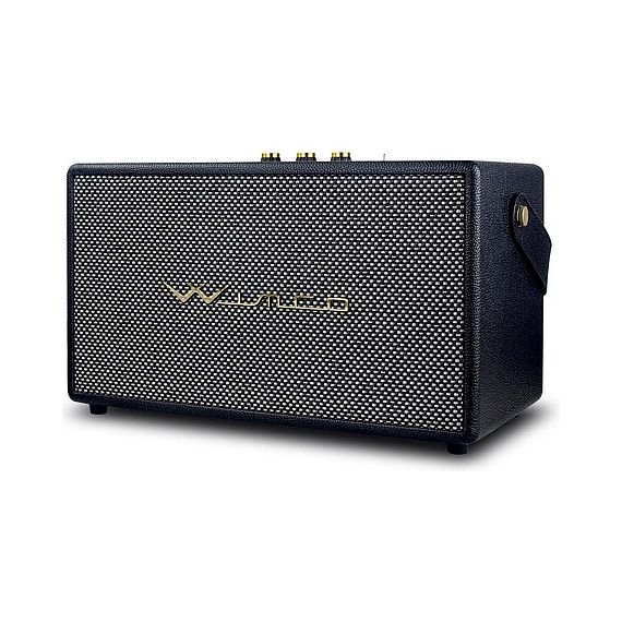Parlante Inalambrico Winco W258 Bluetooth Karaoke Vintage