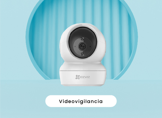 videovigilancia