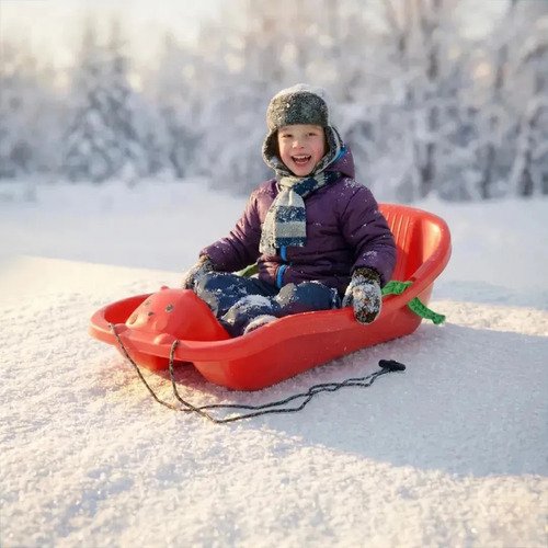Culipatin Deslizador Trineo Ositos Para Nieve Arena Frenos