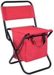 Silla Plegable con Canasto de guardado